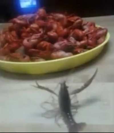 Masacre camaron