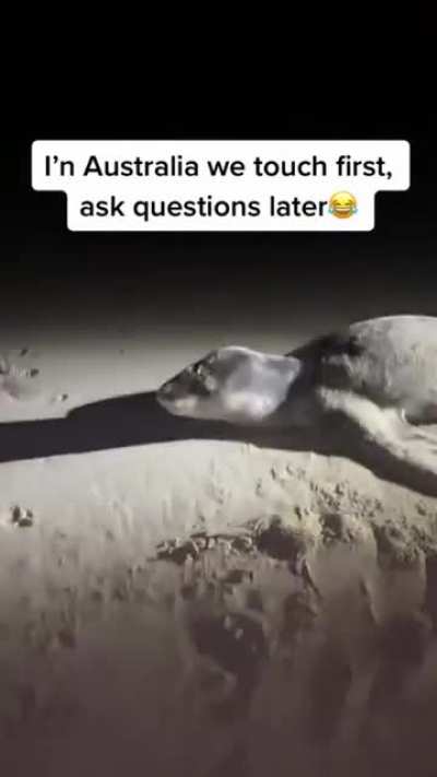 just a normal day in australia