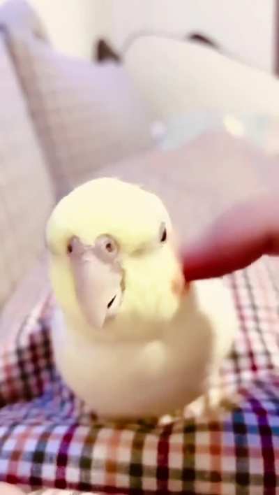 Why does make me uncomfortable?