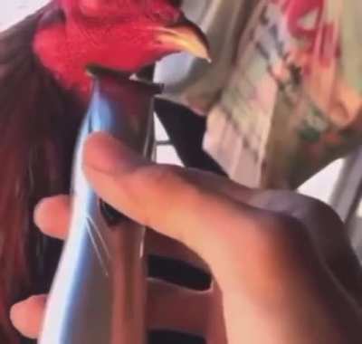 I like my cock nice and clean