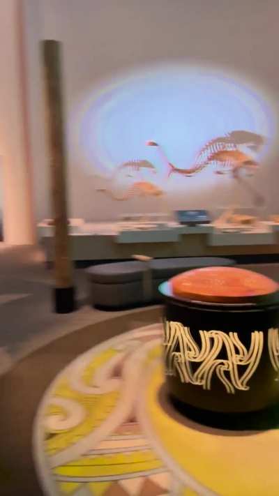 Night at the museum