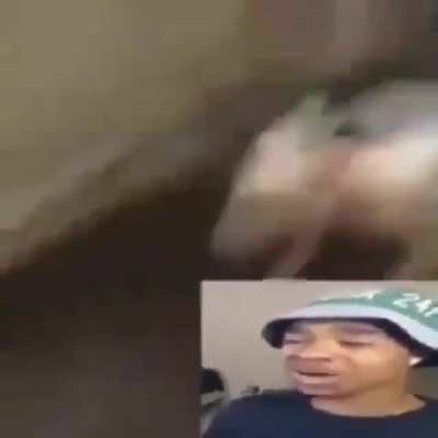 bruh