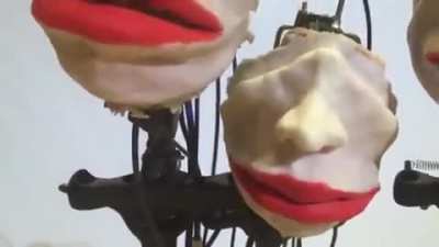 Mouth robots