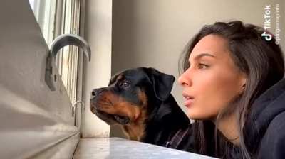 Bring your human to work day