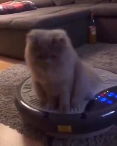 Cuumi after stealing serafeces hover board: