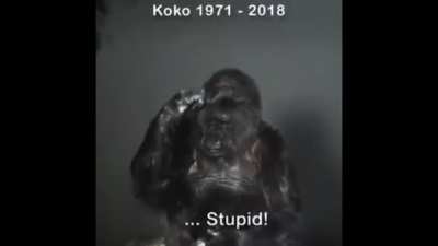 Monke right. (Fr made my heart break )