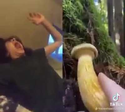 I hate TikTok