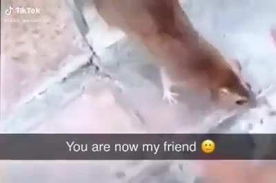 Frien