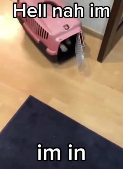 I’m in