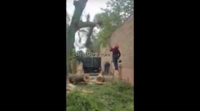 [GORE/ЖЕСТЬ] Веткой по ебалу