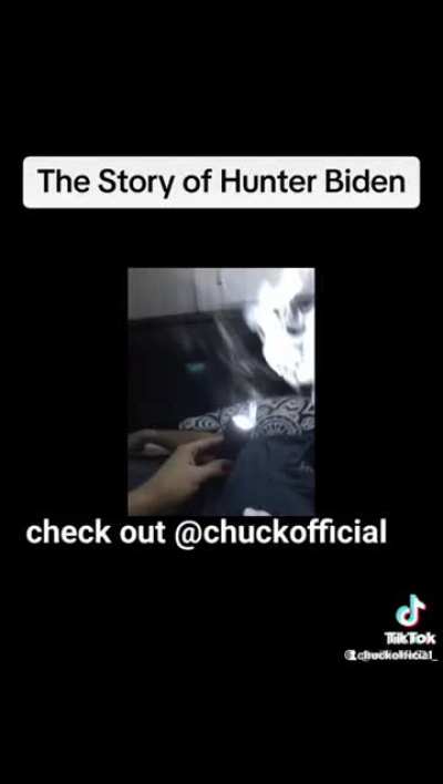 The Story of Hunter Biden by Harry Chapin