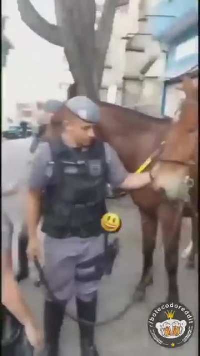 Posso fazer um carinho?