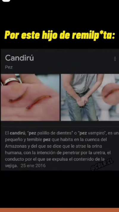 por obias razones