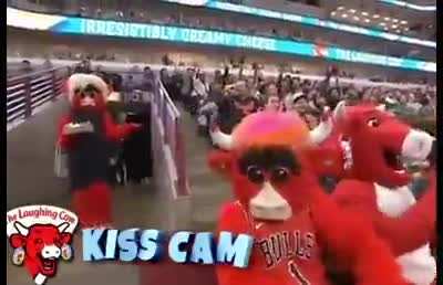 kiss cam