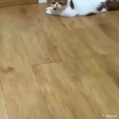 to get the food