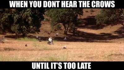I swear sometimes they make no noise...