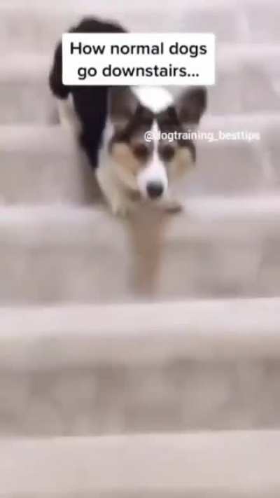 zooms away