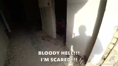 ☠️