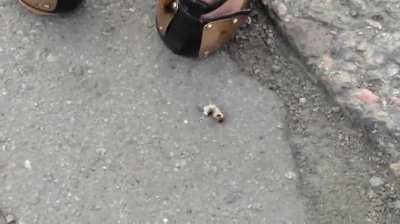 Strada Accidentata