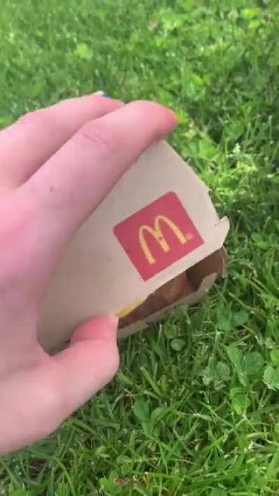 Ordering food while stoned gone wrong