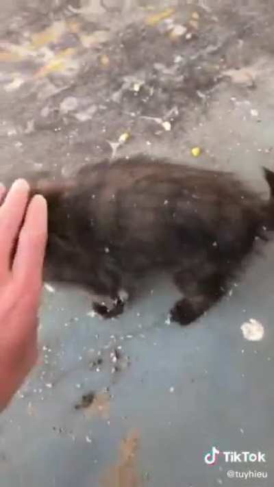 Maybe Maybe Maybe