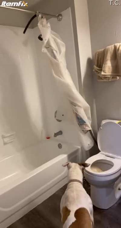 Does this count?