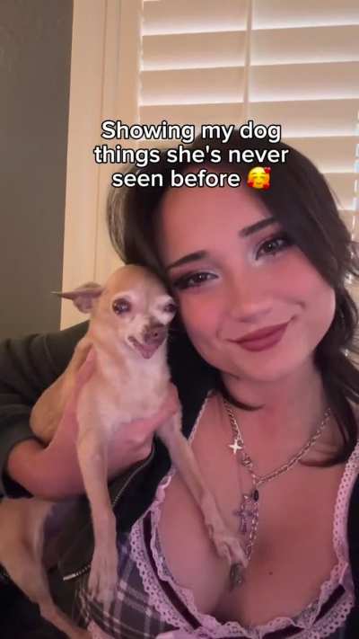 Wholesome