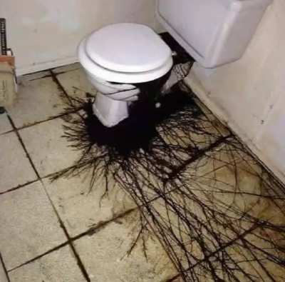 Touhou Toilets #1