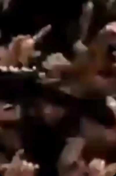 eu