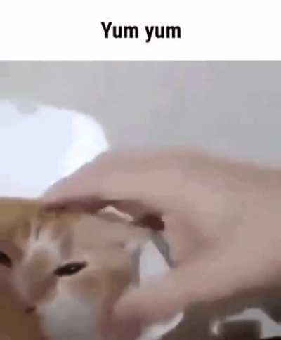 yum yum