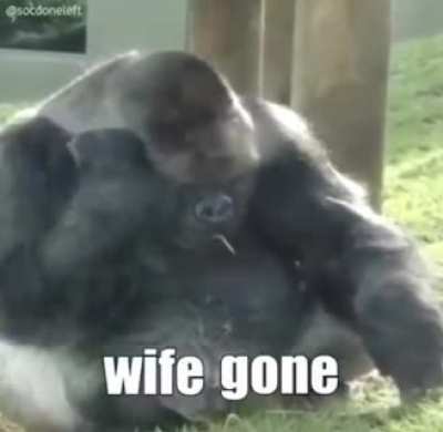 Monky life 😭