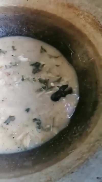 No Soup For You!