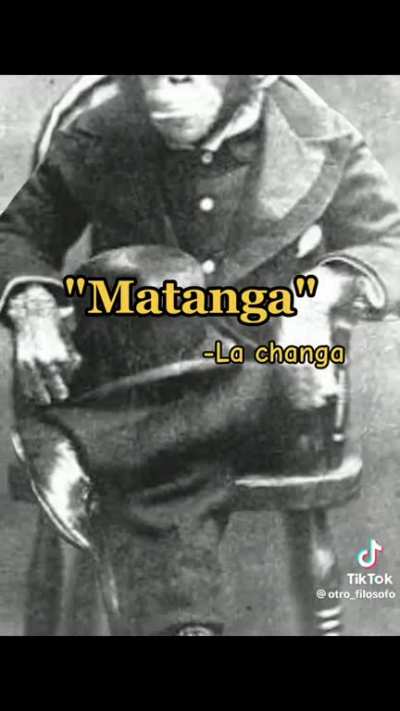 “Compermisito” -monchito