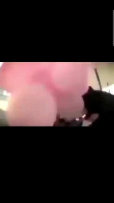Blursed Heist