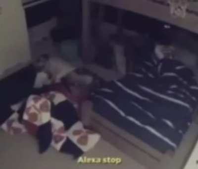 ALEXA, STOP
