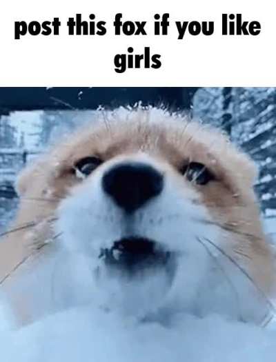 333