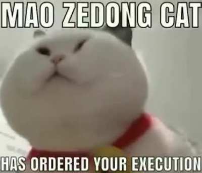 Oh no
