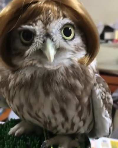 hey you... yes?