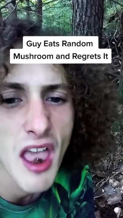 Mushroom Hunting (wait for it)
