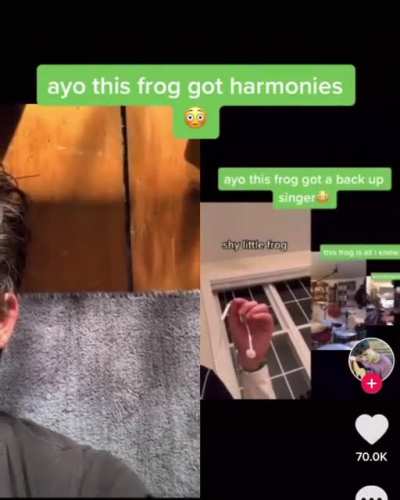 Thanks, I love this frog and his band