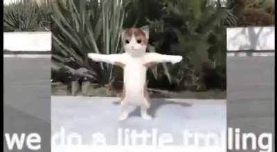 El baile de ramirez