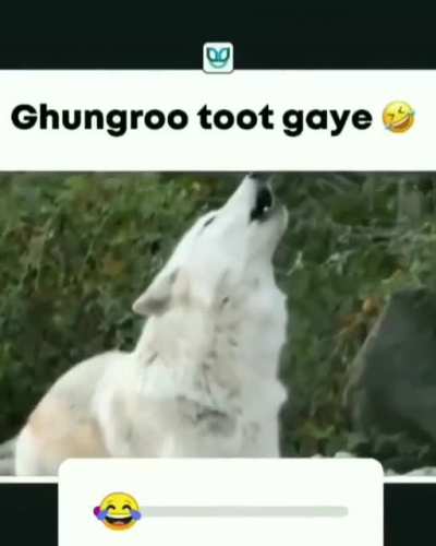 Aashiq Banaya Aapne