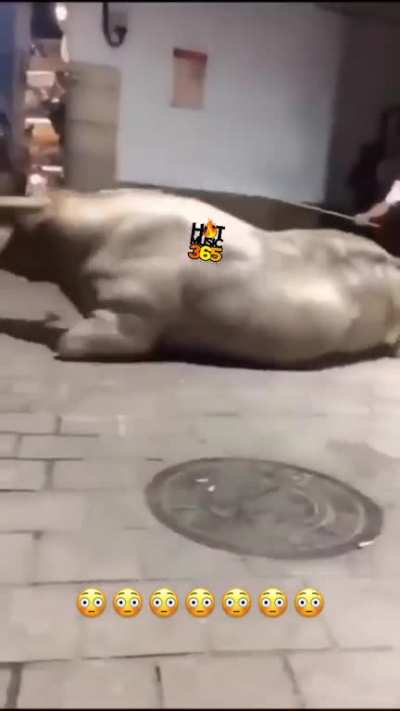To crush someone