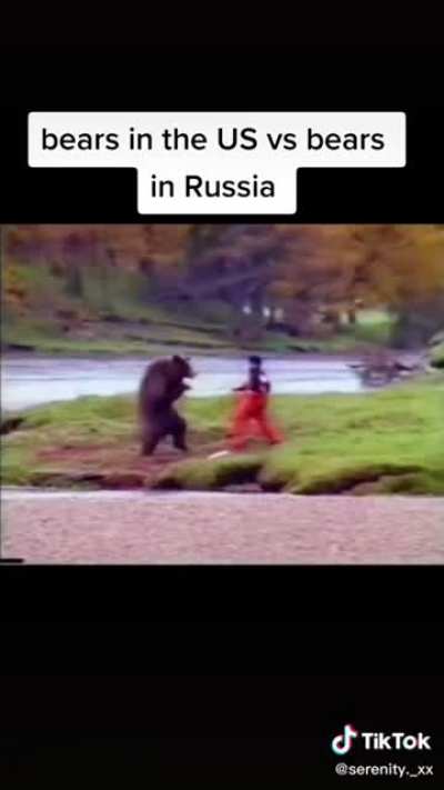 Bears in USA vs Bears in Russia