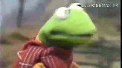 kermit dies in a tragic bicycle accident