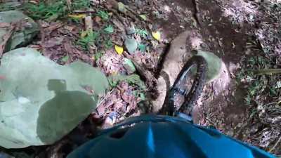 Wee Bit O' Jungle Lovin'. I know Huge Sends Sell, But This is Why I Ride.