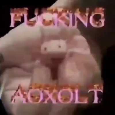 FUCKING GUE