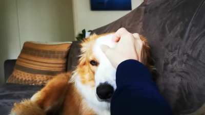 I think she likes it