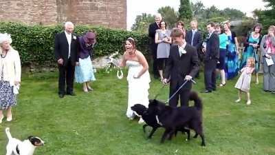 Showering the bride