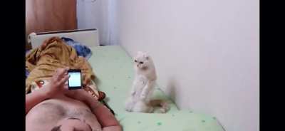 Cat stands for the Soviet Anthem